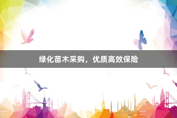 绿化苗木采购，优质高效保险